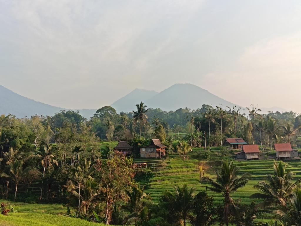 a village in a field with mountains in the background at D'Ume Bendoel Homestay in Jatiluwih