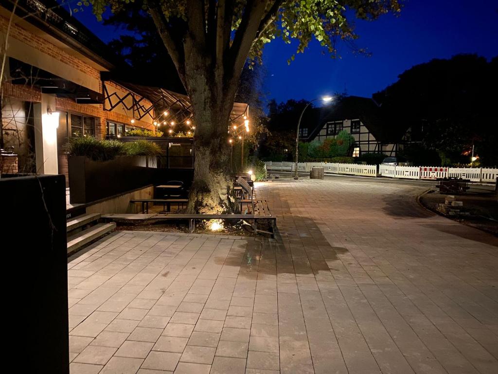 The Roebbek x Hanse - Resim 21