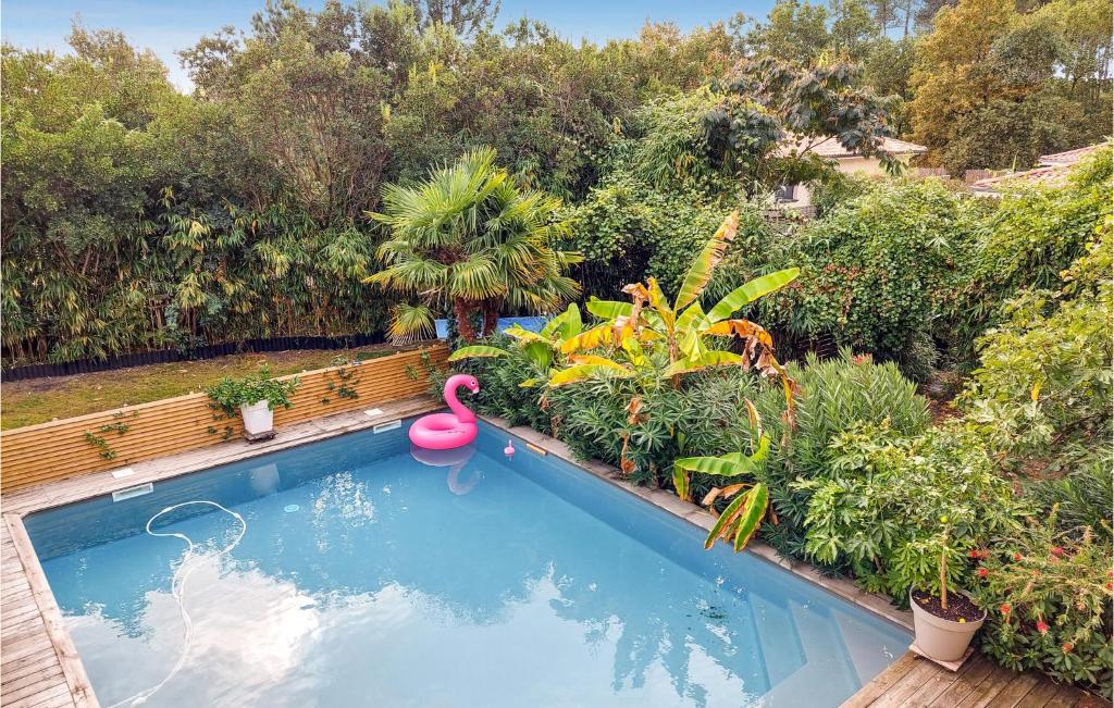 Πισίνα στο ή κοντά στο Stunning Home In Lge-cap-ferret With Outdoor Swimming Pool
