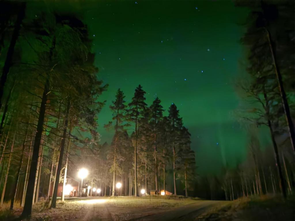 ein Bild eines Waldes in der Nacht mit der Aurora in der Unterkunft Ulvovan Suden Majatalo 
