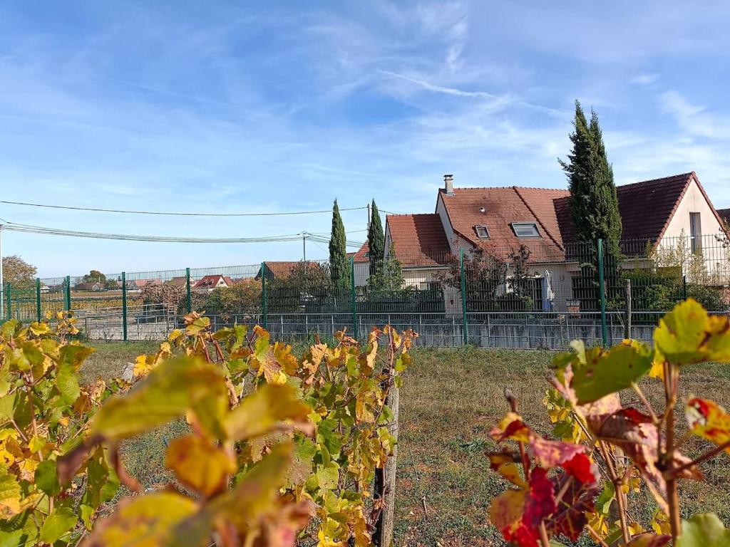 Zahrada ubytování Villa des Climats Bourgogne