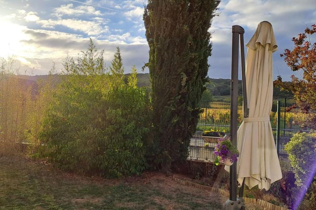Zahrada ubytování Villa des Climats Bourgogne
