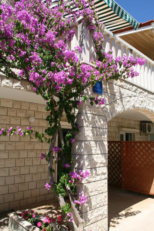 Fotografie z fotogalerie ubytování Apartments Jagoda v destinaci Bol