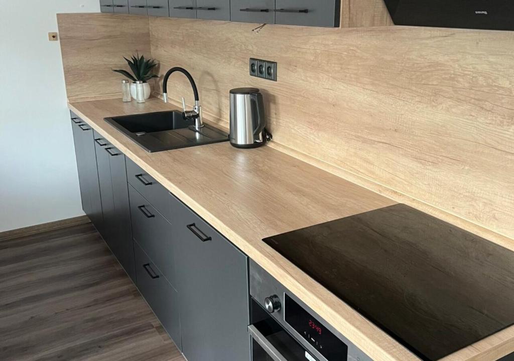 Kuchyň nebo kuchyňský kout v ubytování Apartmány Jakubov