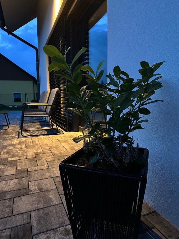 Fotografie z fotogalerie ubytování Apartmány Jakubov v destinaci Vojkovice