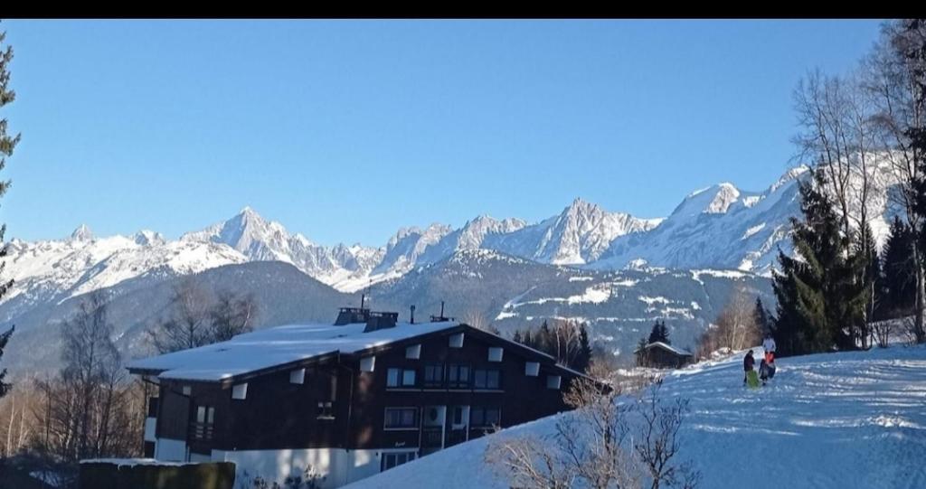 Studio porte du Mont Blanc Combloux aux pieds des pistes trong mùa đông