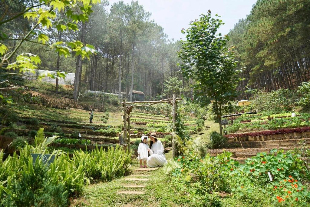 Phong cảnh thiên nhiên gần resort