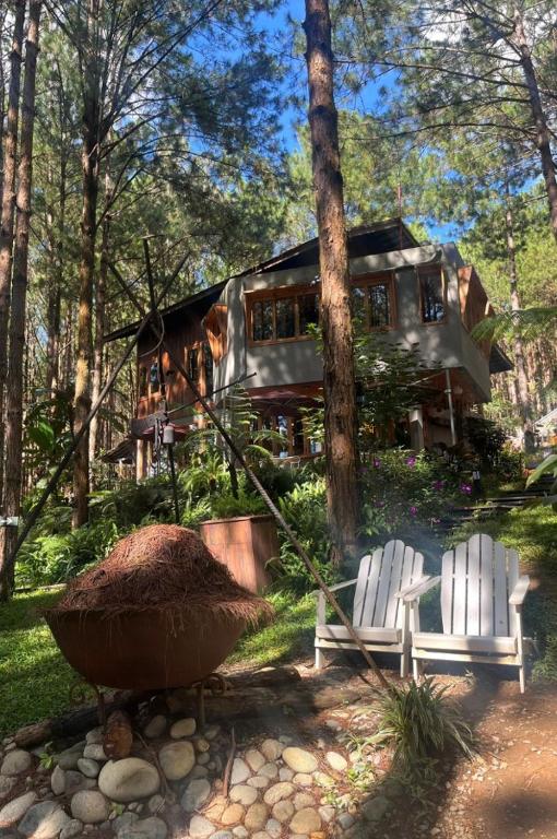 Zahrada ubytování Mơ Stay - Forest Resort