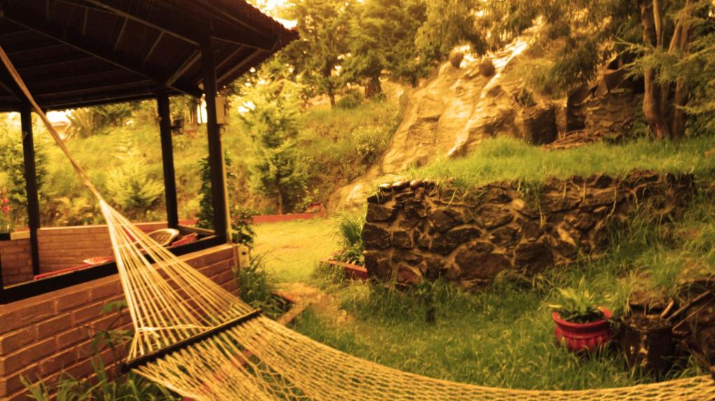 Zahrada ubytování Green Nest Resort Ooty