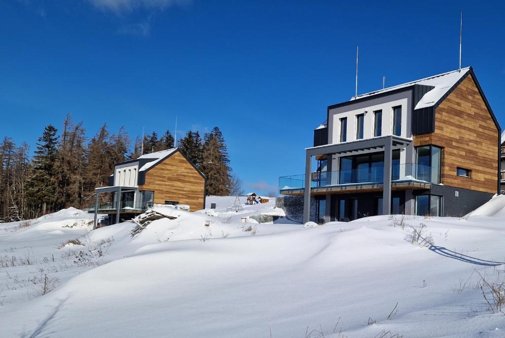 a house in the snow with snow covered ground at Luxusní apartmány Čerťák in Vaclavov u Bruntalu