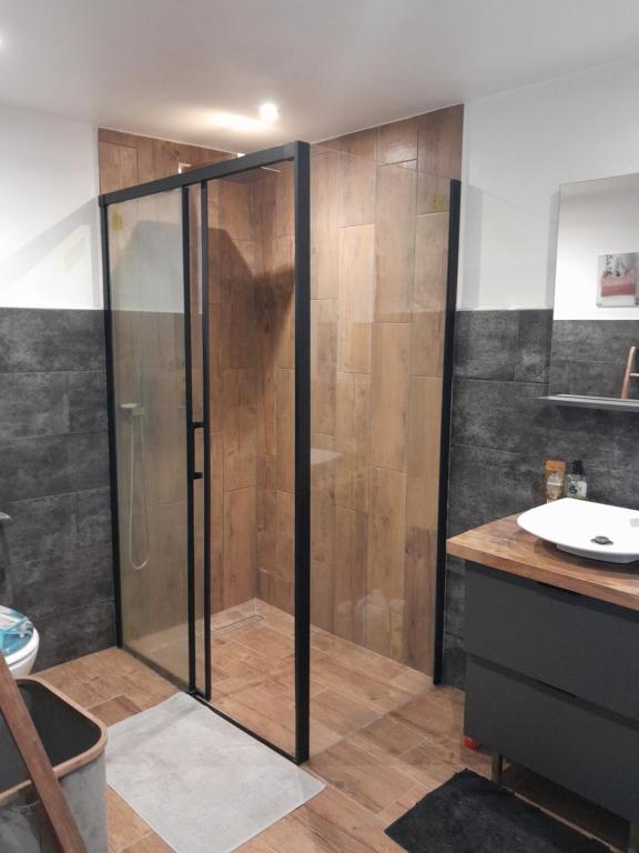 un baño con ducha y lavabo en séjour au pays des Béarn, en Baigts-de-Béarn