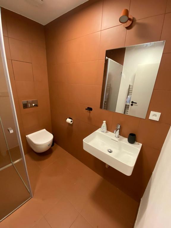 Koupelna v ubytování Krkonošský apartmán Bratrouchov