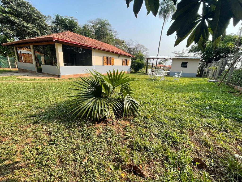 une maison avec un palmier dans la cour dans l'établissement Haus Independencia Guara Paraguay, 