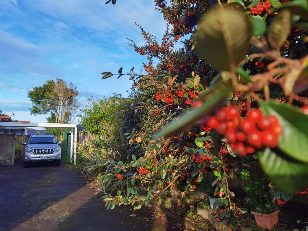 Epsom Red House - Resim 13