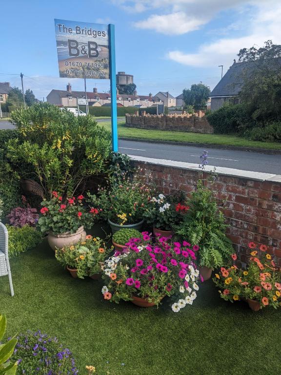 a bunch of flowers in pots next to a brick wall at The Bridges B&B in Broomhill