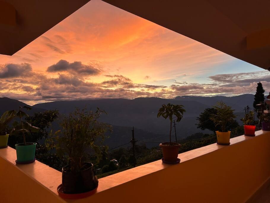 a view of a sunset from a window with potted plants at Ejam House, with a tea garden view in Darjeeling