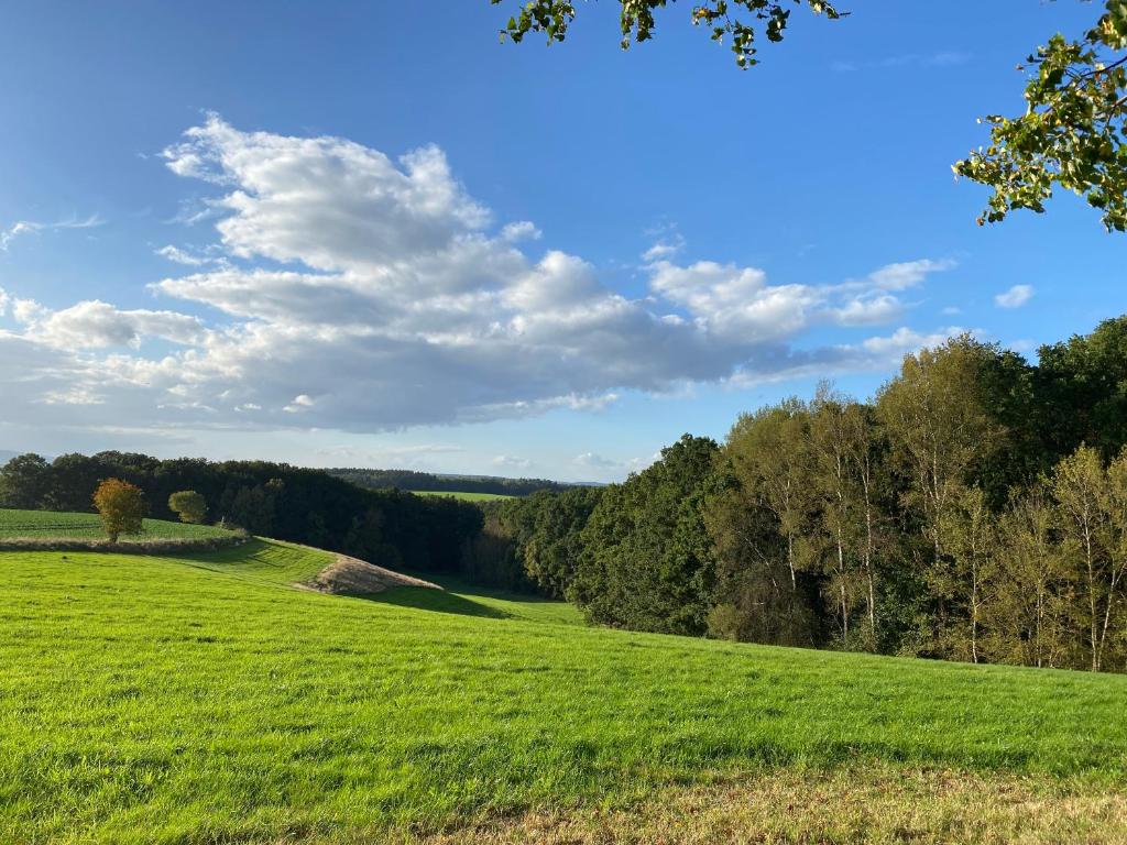 een veld van groen gras met bomen op de achtergrond bij Ferienhaus Auszeit in Bad Liebenstein