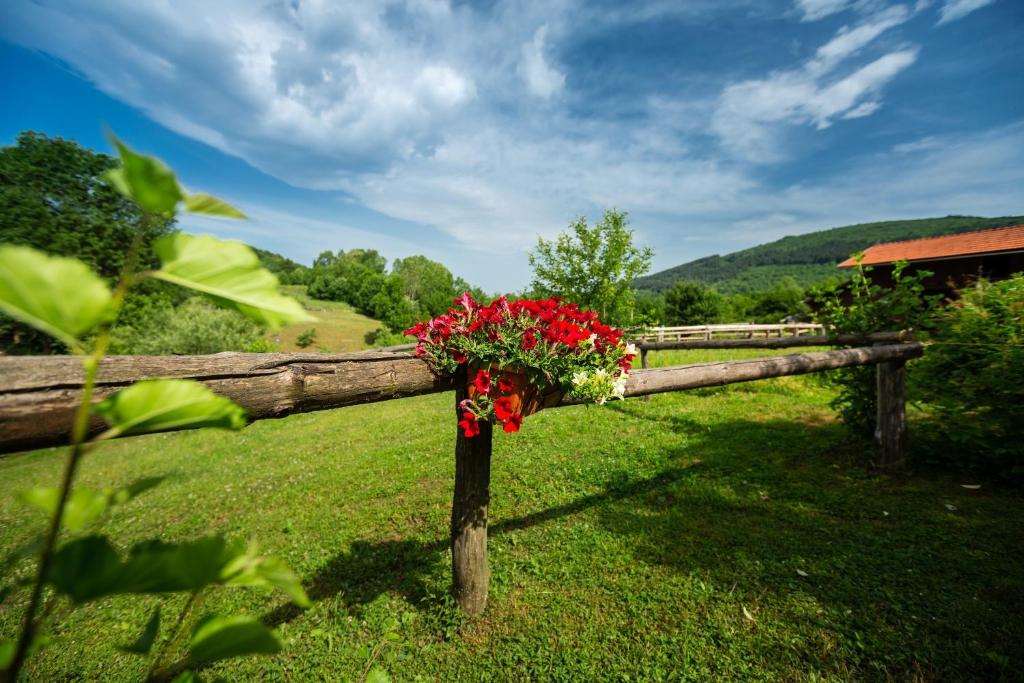 Ranch Jelov Klanac - 13