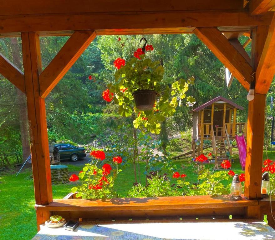 a window view of a garden with red flowers at KENT in Mărişel