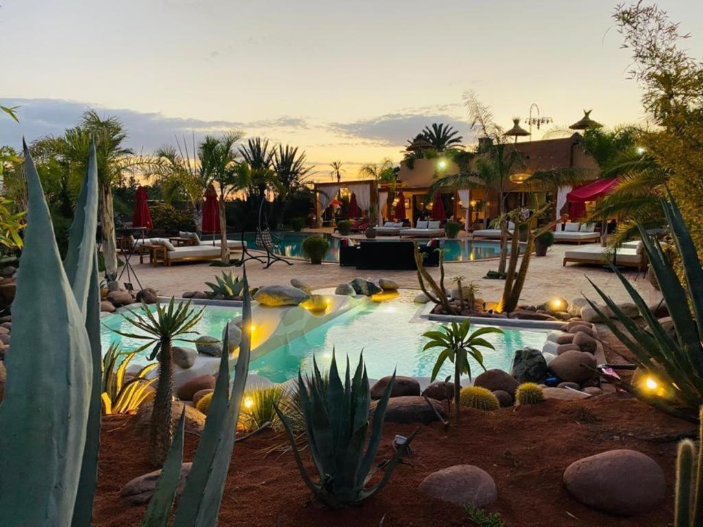 - une grande piscine avec des cactus dans un complexe dans l'établissement Eden Lodges & SPA, à Marrakech