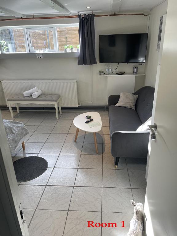 TV a/nebo společenská místnost v ubytování Bak Guesthouse
