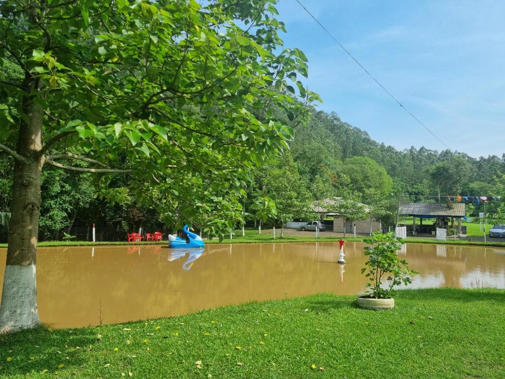 ein überfluteter Park mit einem blauen Boot im Wasser in der Unterkunft Sítio Recanto Nativo in Palmitos