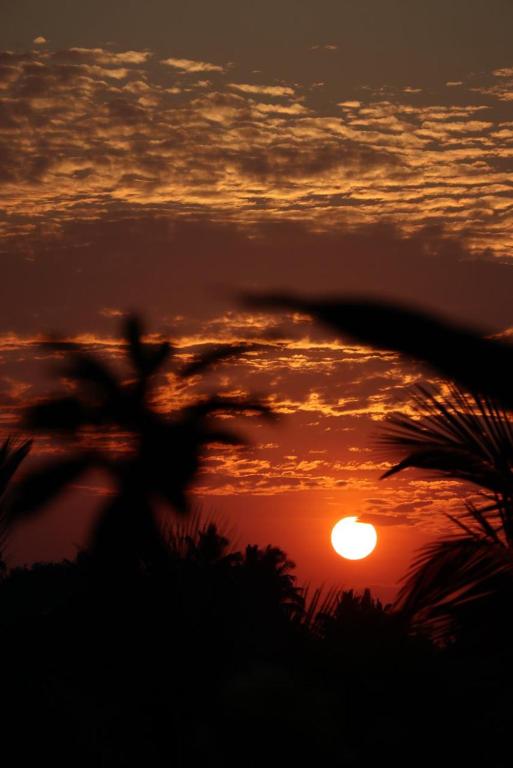 Bunga Maliq Bungalow Lombok - 11