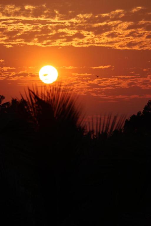 Bunga Maliq Bungalow Lombok - 13