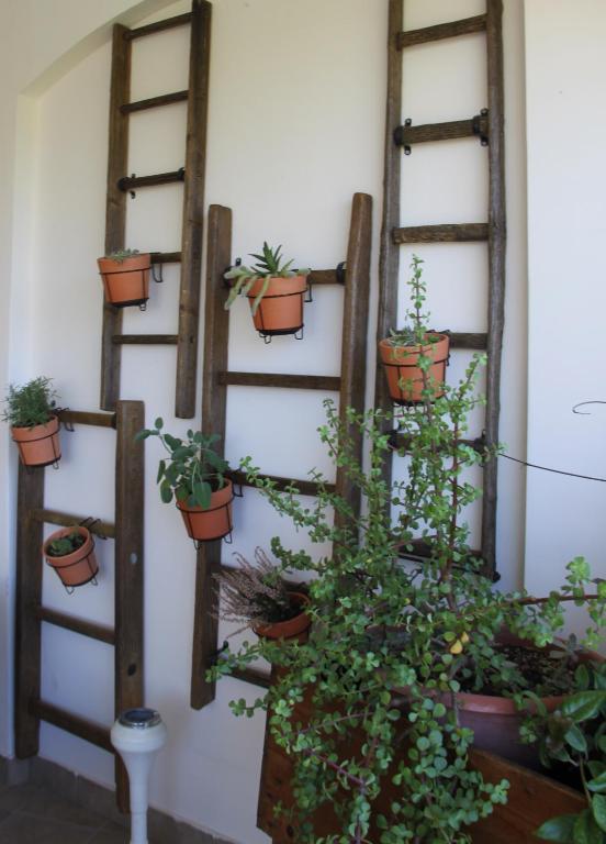 Zdjęcie z galerii obiektu B&B Le Terrazze Lama Balice w mieście Bitonto