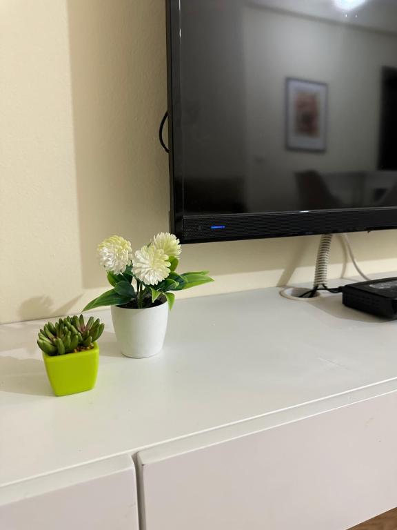 Cozy Apartament