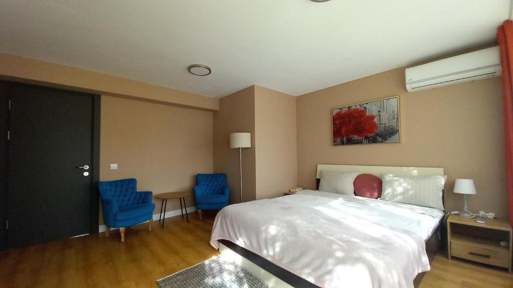 1 dormitorio con 1 cama y 2 sillas azules en 4 Seasons Apartments, en Bistriţa
