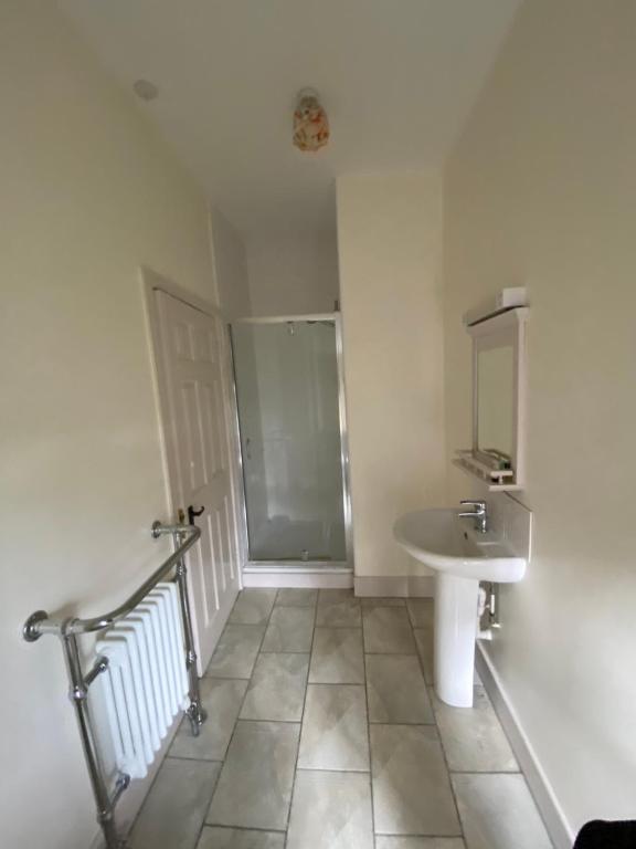 uma casa de banho com um lavatório e um chuveiro em The Elsted Inn em Trotton