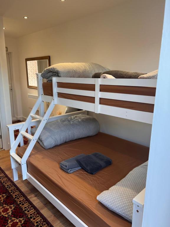 a bunk bed with two bunk beds in a room at 1 Bedroom & Bathroom (No kitchen) (Garden) (Driveway) in Dorney