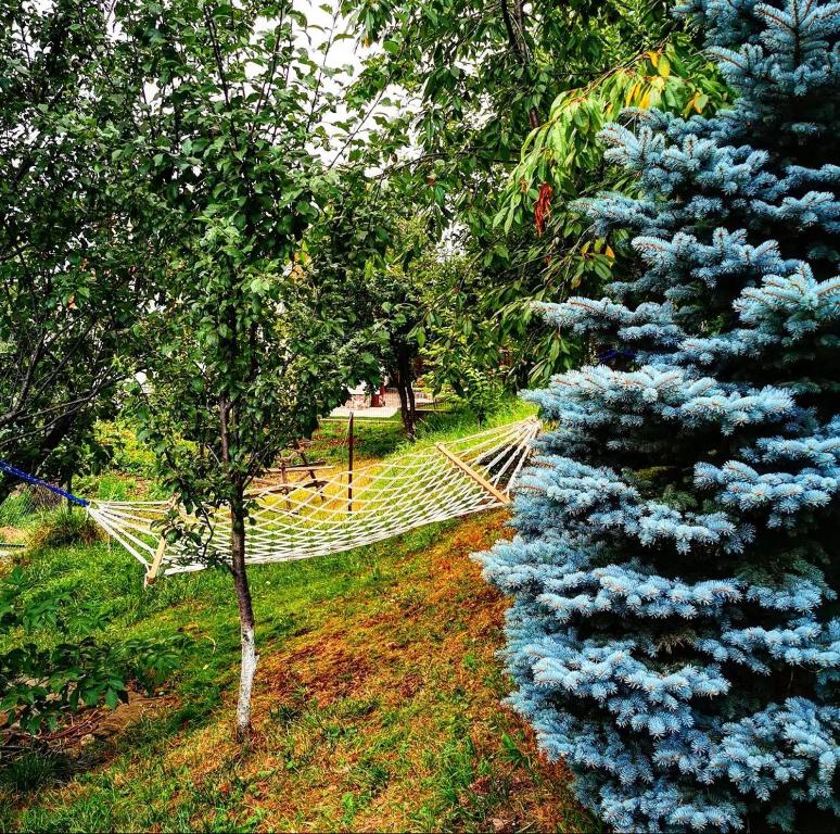 Zahrada ubytování Doftana Apartaments