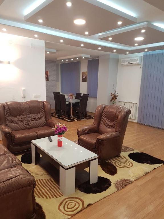 Sala de estar con sofás y mesa de centro en Apartman Aleksandar, BN centar, en Bijeljina