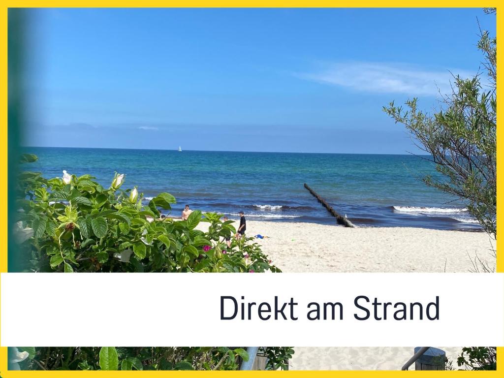 uma imagem de uma praia com as palavras abandonam um estande em 2 Zimmer App Dünengarten Lieblingsplatz Wg11 em Kühlungsborn