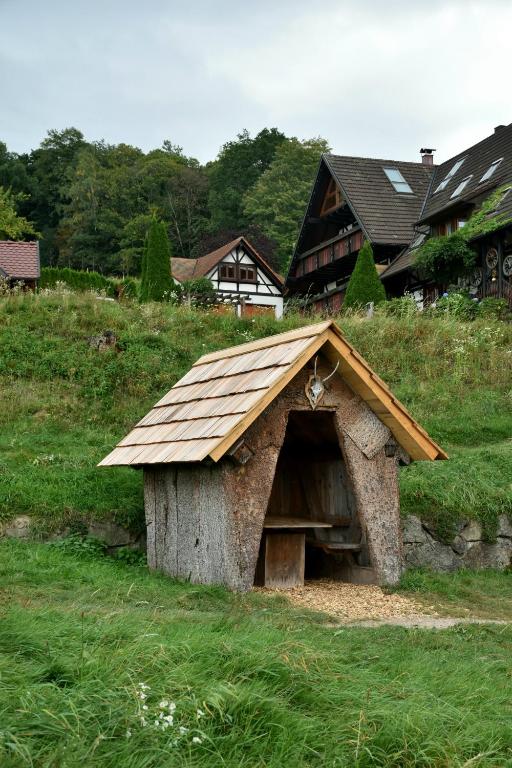 Příroda nedaleko apartmánu