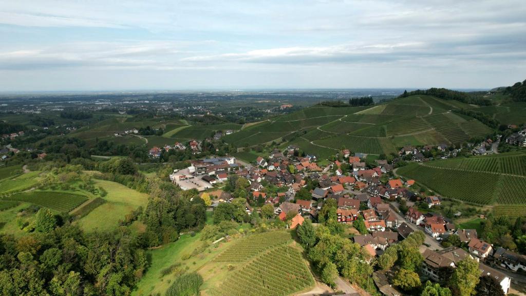 Příroda nedaleko apartmánu