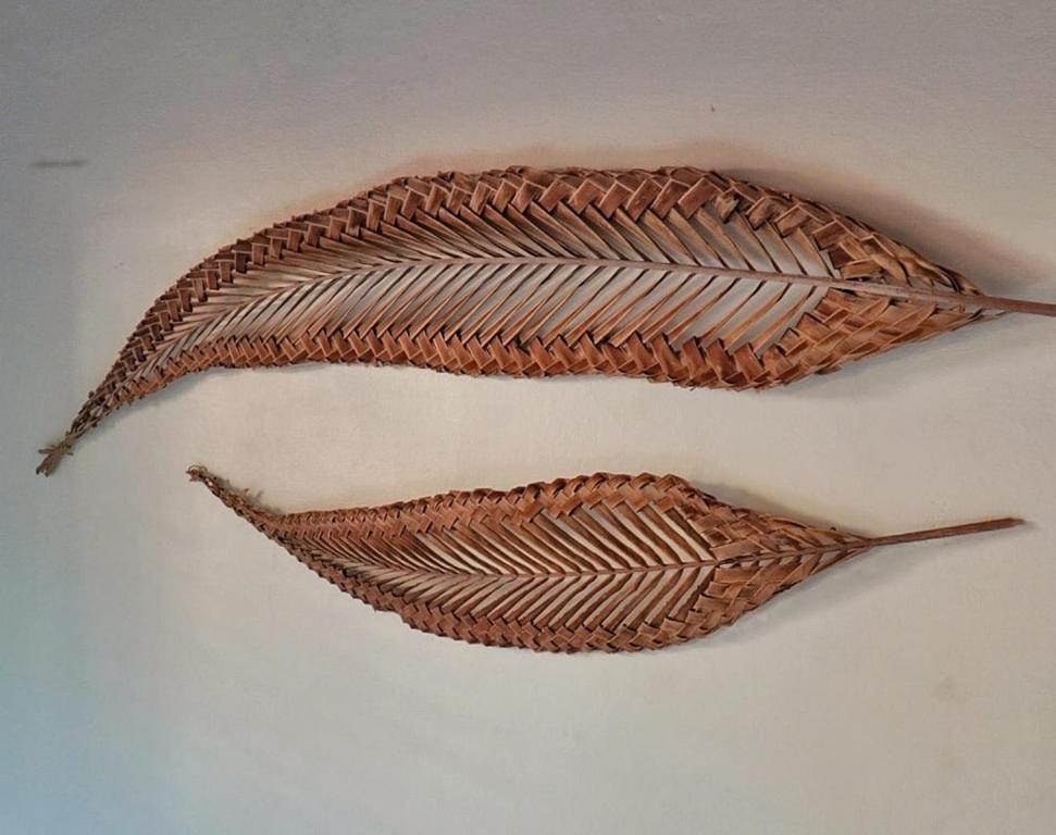 two dried feathers on a white wall at Casa aloha in Atins