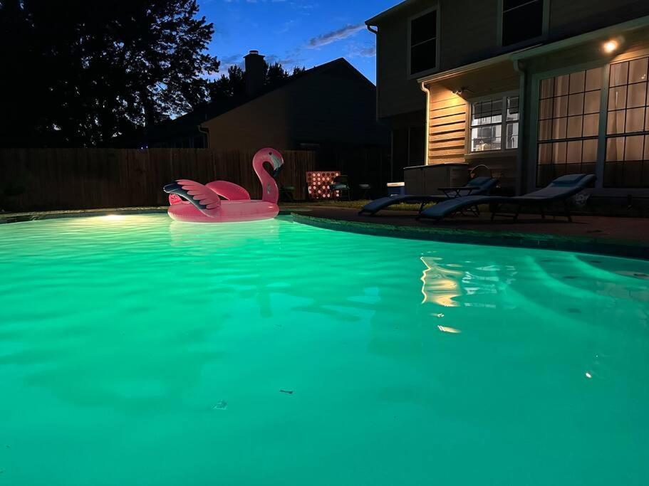 Arlington Oasis with a Pool, Arlington (updated prices 2024)