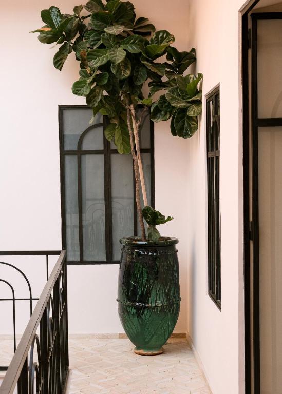 Fotografie z fotogalerie ubytování Riad Pompon v Marrákéši