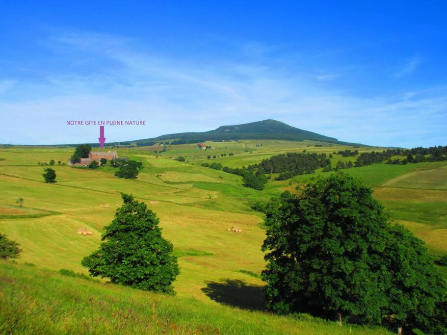 Příroda nedaleko apartmánu