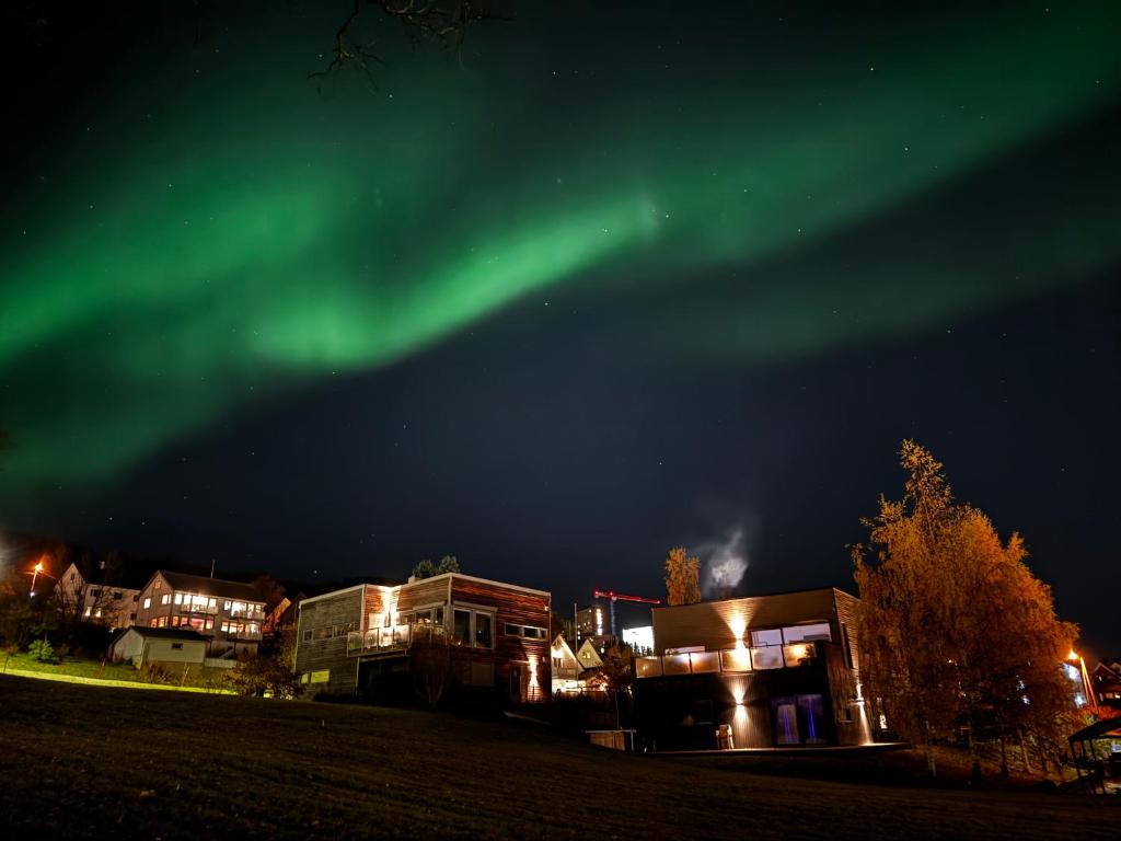 an image of the aurora dancing in the sky at North Apartment in Tromsø