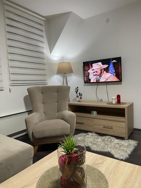 Una sala de estar con un sofá y un televisor en Apartment Magic snow, en Kopaonik