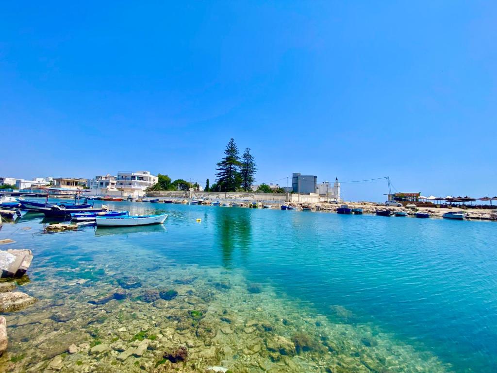 La bienvenue, La Goulette (updated prices 2024)