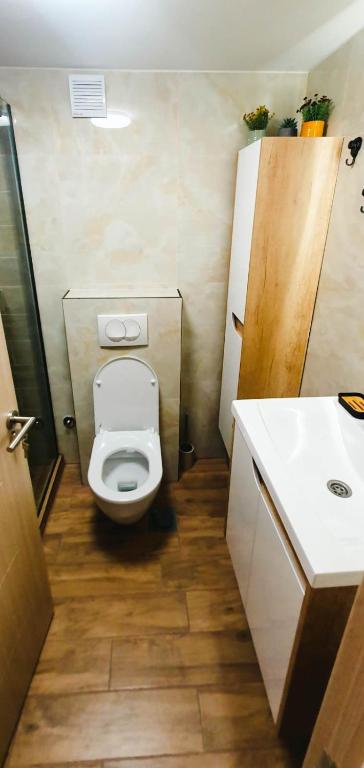 Koupelna v ubytování Fantasy Apartment