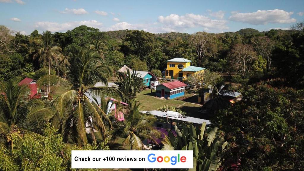 a house on a hill in the middle of a forest at Lower Dover Jungle Lodge & Maya Ruins in Unitedville