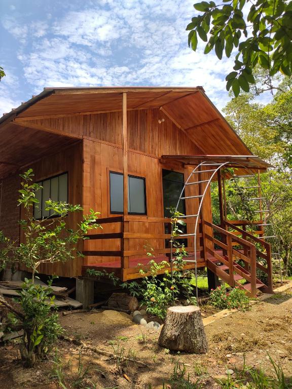 una pequeña casa de madera con una escalera delante de ella en Cabañas Ecowasi, en Tingo María