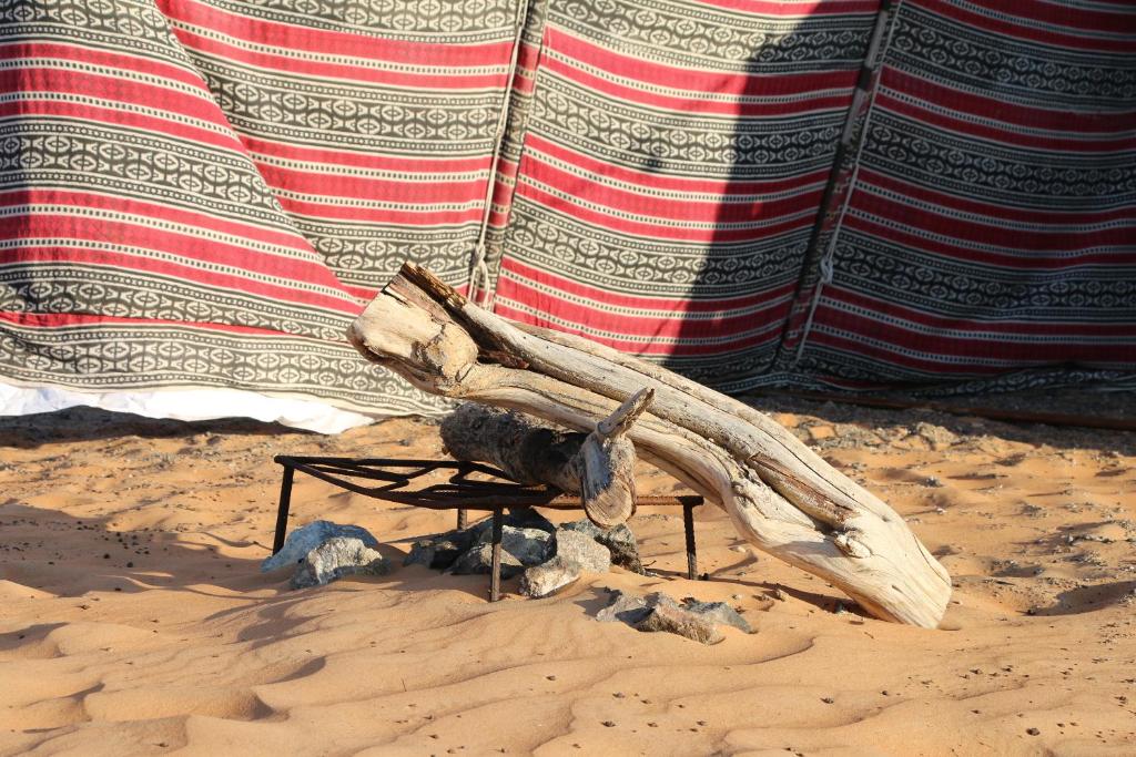 BadīyahPrivate Camel Safari Camp的相册照片