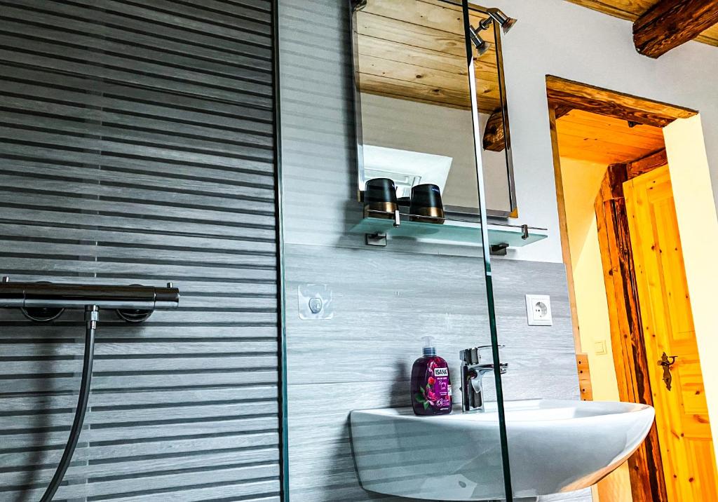 ein Badezimmer mit einem Waschbecken, einem WC und einem Spiegel in der Unterkunft LIETHE 13 - Ferienhaus am Malerweg in Kurort Gohrisch